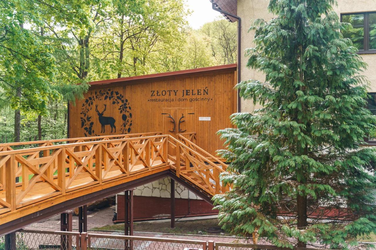 Zloty Jelen - Restauracja I Dom Goscinny Potok Zloty Exterior foto